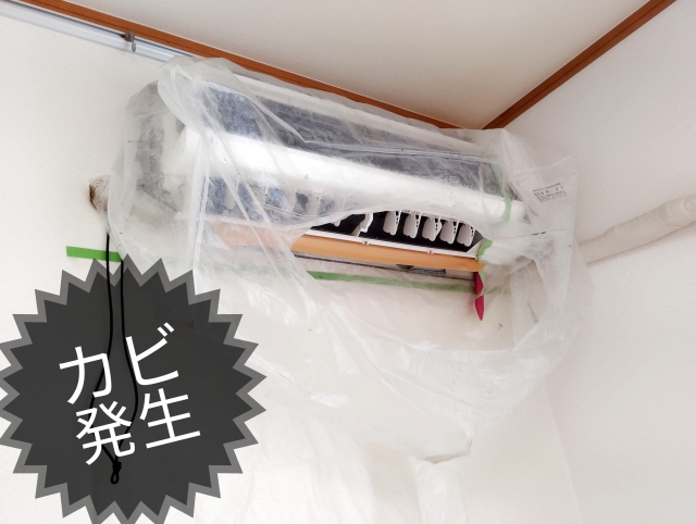 エアコン内部のカビが健康に及ぼす影響と対策法